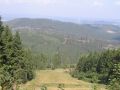 {Sauerland}